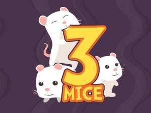 Bucaa 3 Mice Skill Puzzle