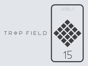 Memory Minefield Puzzle