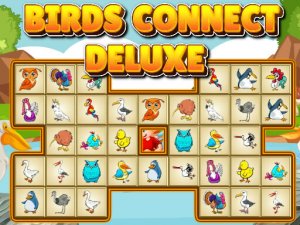 Birds Connect Deluxe Puzzle Game - Matching Puzzle